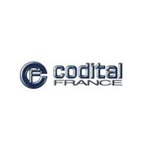 Logo - Codital France